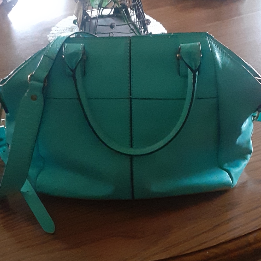 Elliott Lucca satchel handbag
